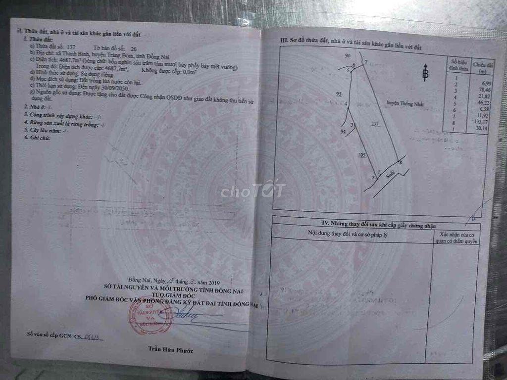 bán đất vườn sầu riêng thái