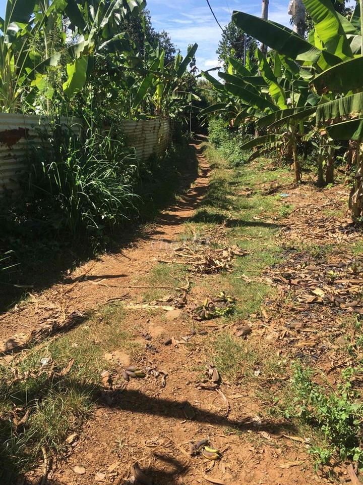 bán đất vườn sầu riêng thái