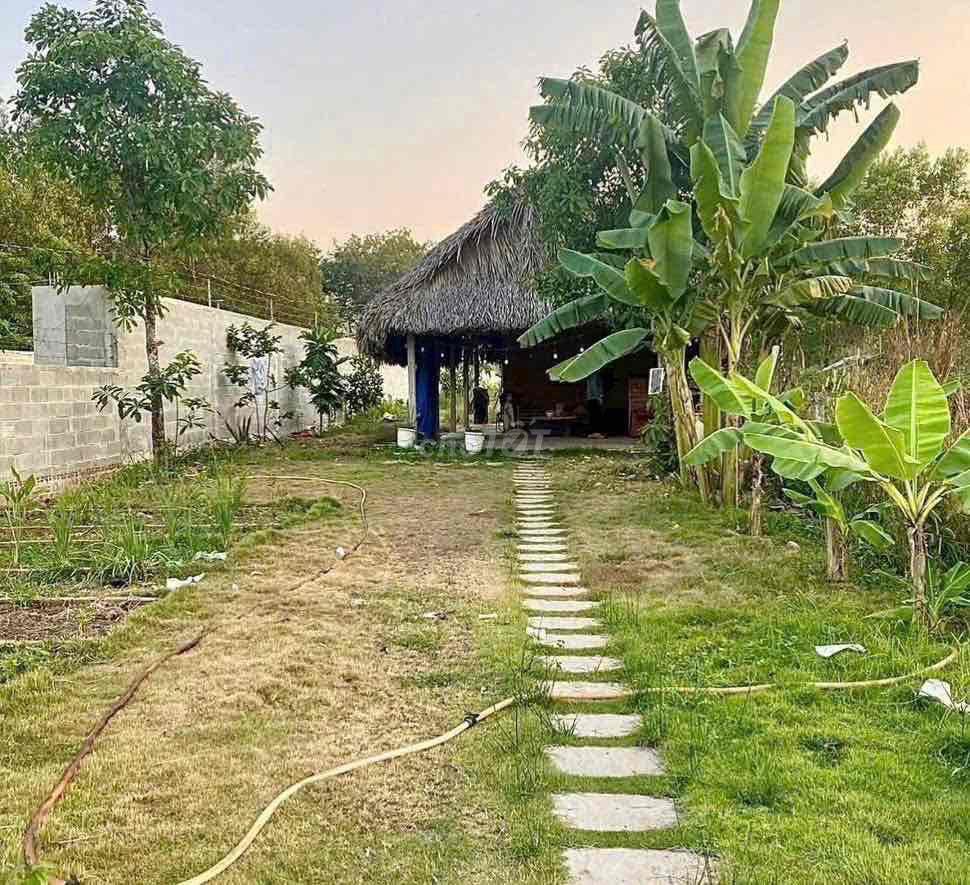 chủ kẹt tiền