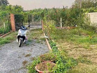 Đất Giá Rẻ