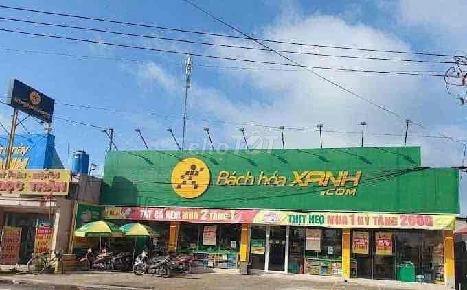 Đất Chủ Ngột Giá