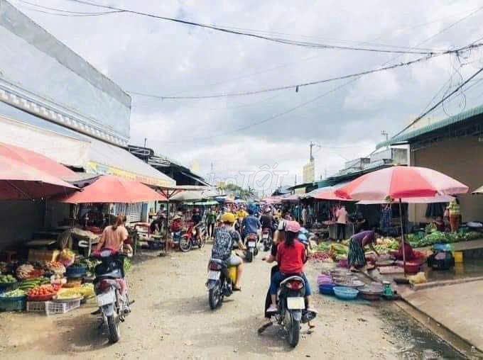 thua cá độ bán đất trả nợ