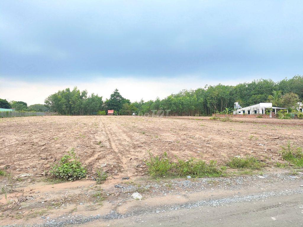 🔥 BÁN 6.000M² ĐẤT CÂY LÂU NĂM PHÚ THẠNH - NHƠN TRẠCH 🔥