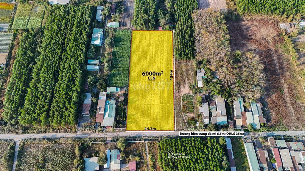 🔥 BÁN 6.000M² ĐẤT CÂY LÂU NĂM PHÚ THẠNH - NHƠN TRẠCH 🔥