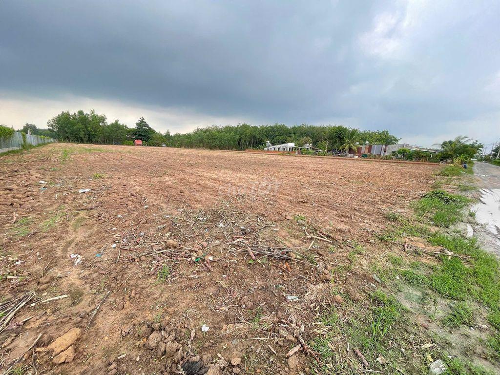 🔥 BÁN 6.000M² ĐẤT CÂY LÂU NĂM PHÚ THẠNH - NHƠN TRẠCH 🔥