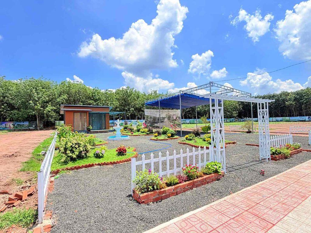 Cần bán gấp đất rẻ, đẹp
