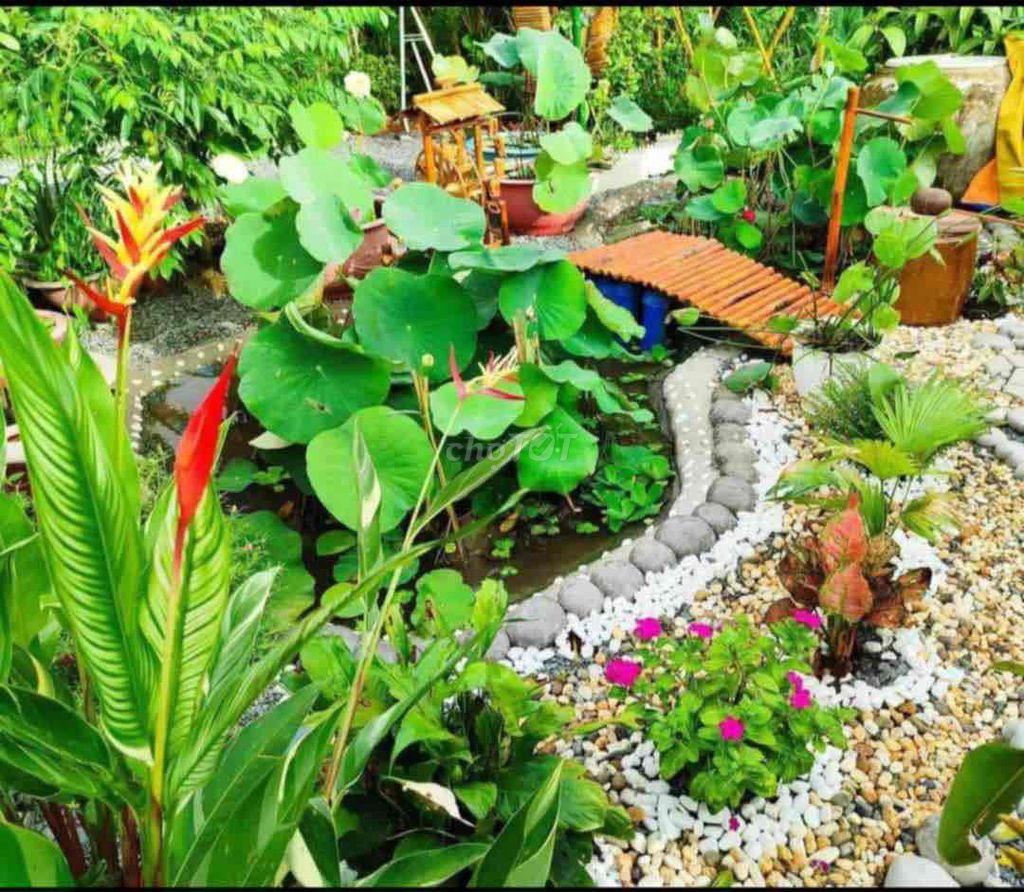 chính chủ cần tiền muốn bán gấp lô đất giá rẻ