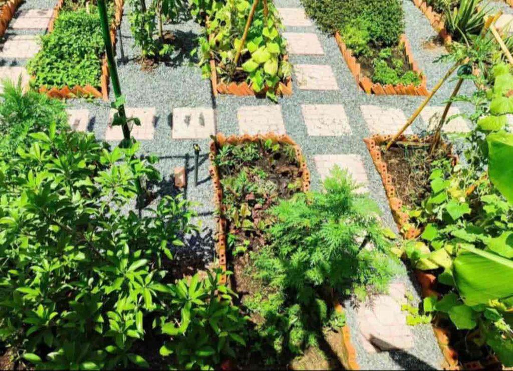 chính chủ cần tiền muốn bán gấp lô đất giá rẻ