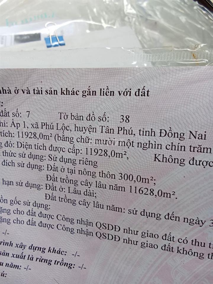 Đất Trồng Cây Lâu Năm, 1 Phần THỔ CƯ 