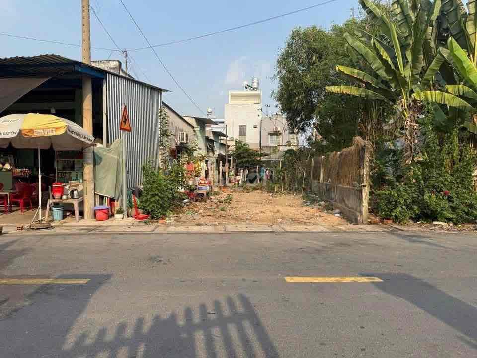 ĐẤT NGỘP WC