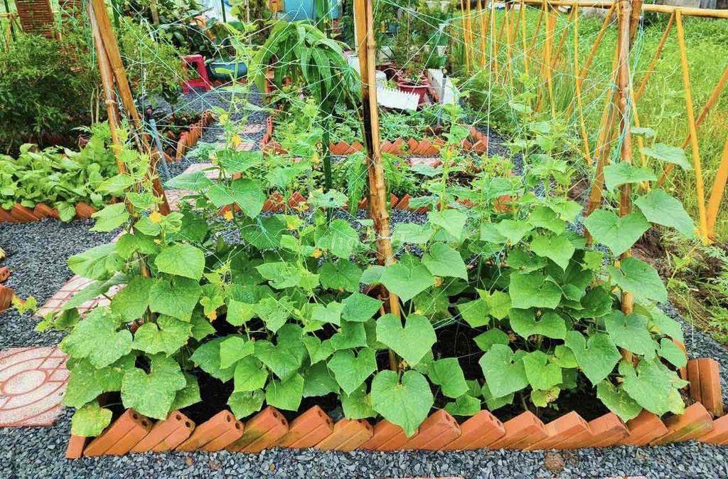 Nhà em cần bán gấp miếng đất giá rẻ