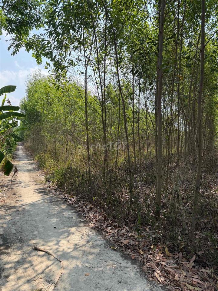7,900m2 Xuân Đông, TP Đồng Nai