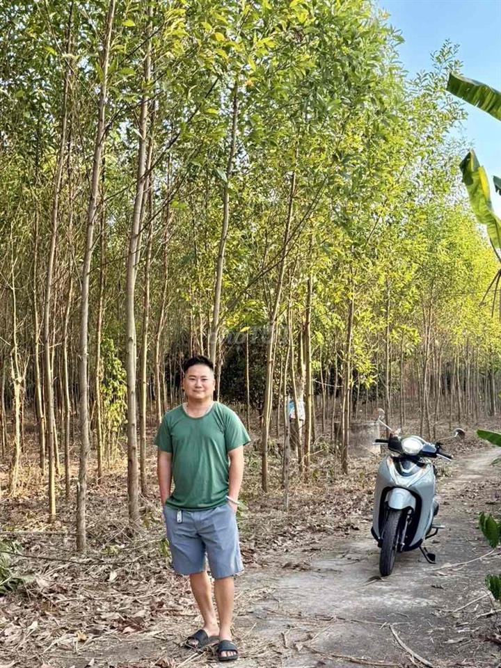 7,900m2 Xuân Đông, TP Đồng Nai