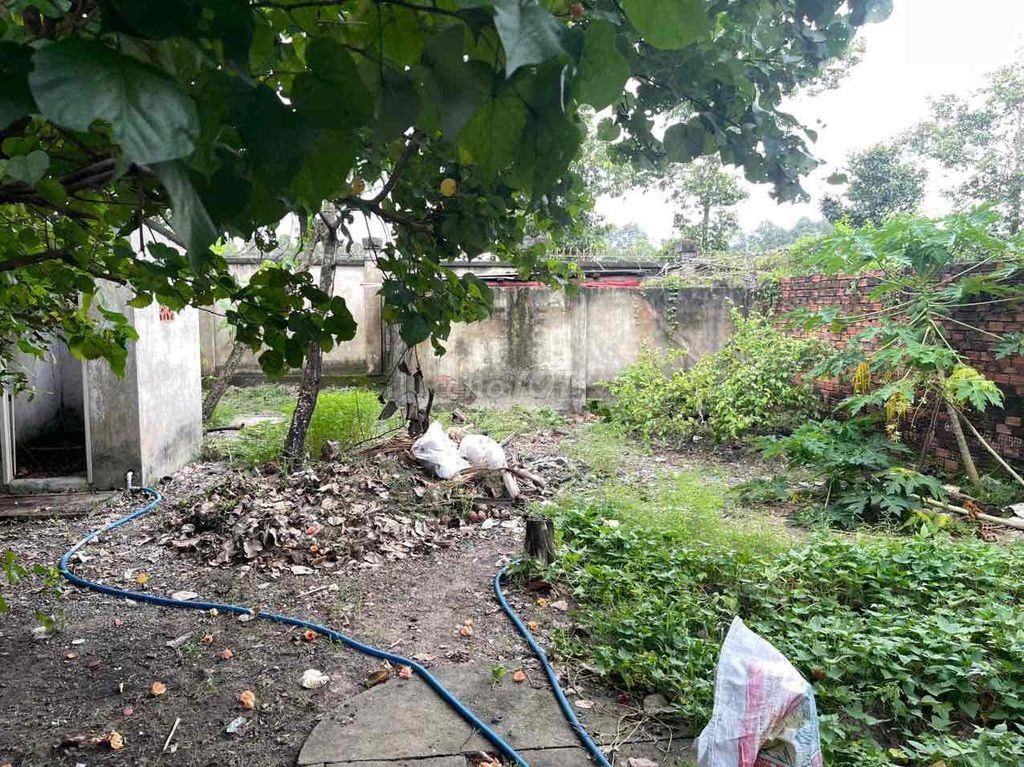 Nhà sân vườn