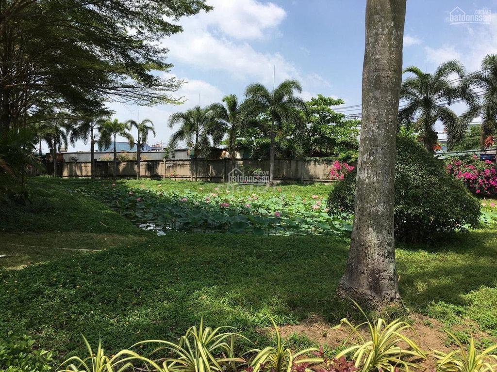 Cần bán cc Tân Tạo Plaza 3