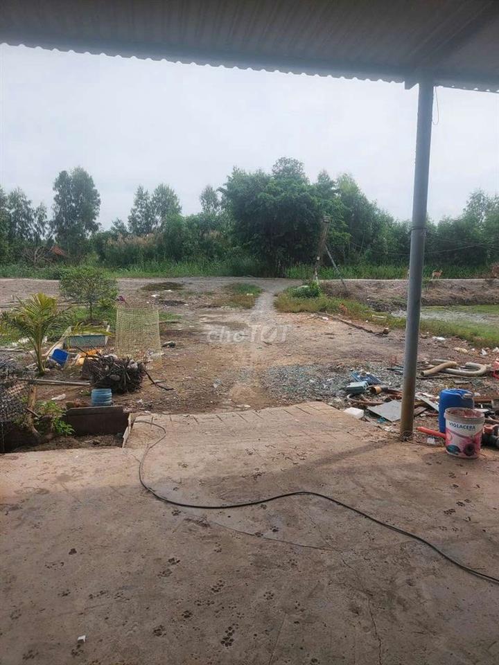 Gấp bán đất tặng nhà ngay Bình Chánh Long An chỉ 1.6toi 