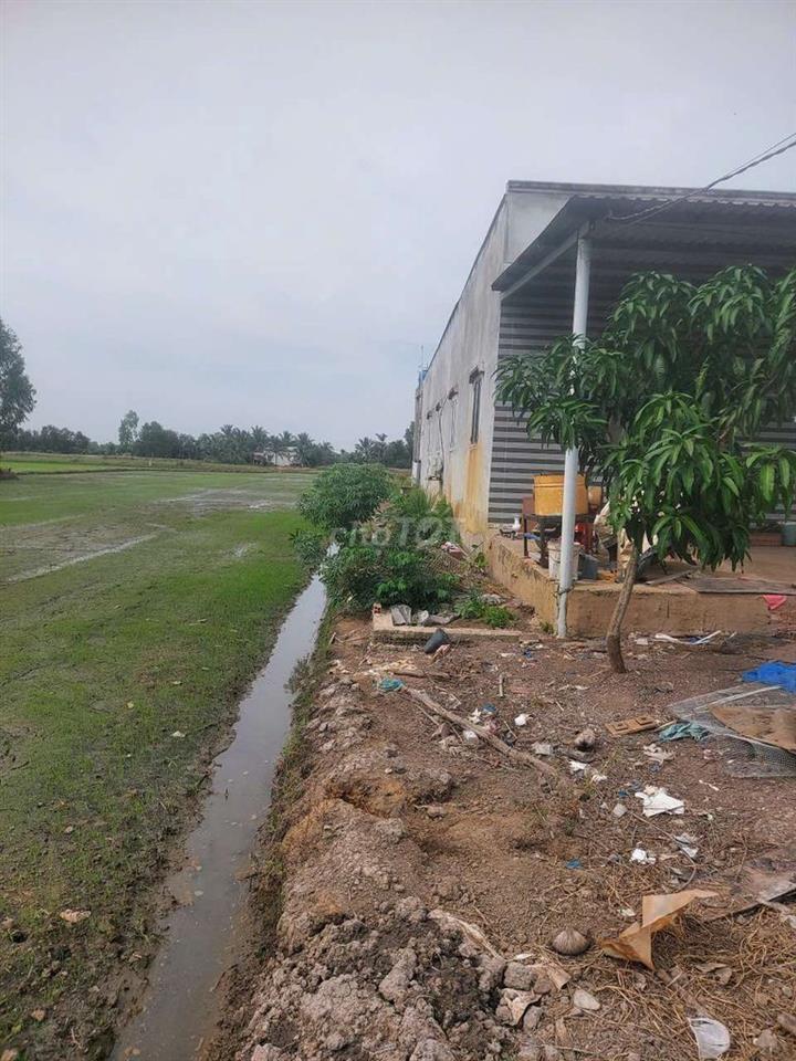 Gấp bán đất tặng nhà ngay Bình Chánh Long An chỉ 1.6toi 