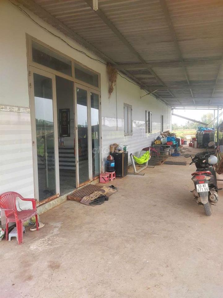 Gấp bán đất tặng nhà ngay Bình Chánh Long An chỉ 1.6toi 