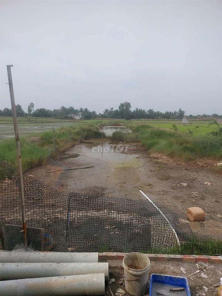 Gấp bán đất tặng nhà ngay Bình Chánh Long An chỉ 1.6toi 
