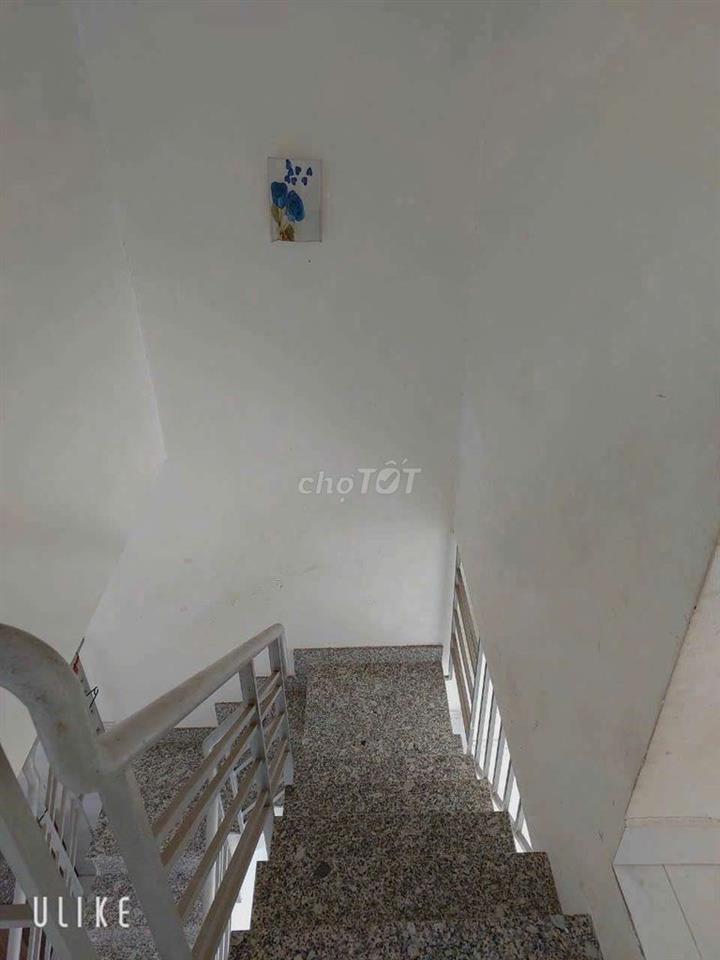cho thuê nhà xã Phong Phú đường Trịnh Quang Nghị Quốc lộ 50