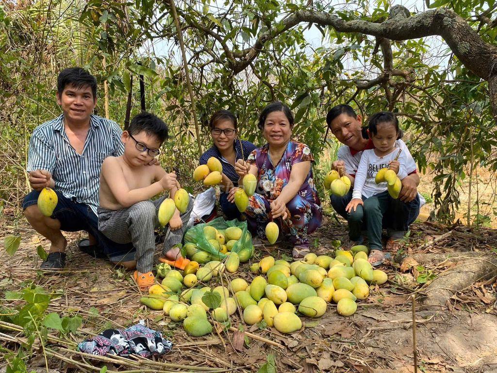 Cho thuê đất có sẵn nhà cũ cấp 4,có vườn xoài va ao cá