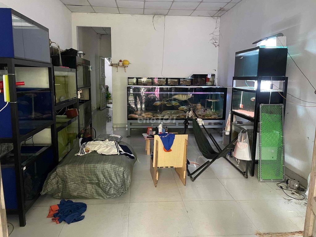 chính chủ bán gấp nhà cấp 4