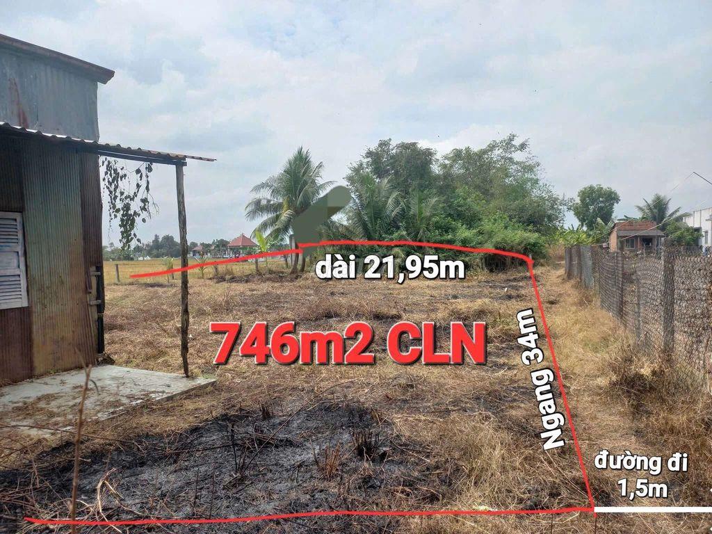 đất vườn xả tân trạch H cần đước Long an.tây ninh.đường khoản 2 mét 