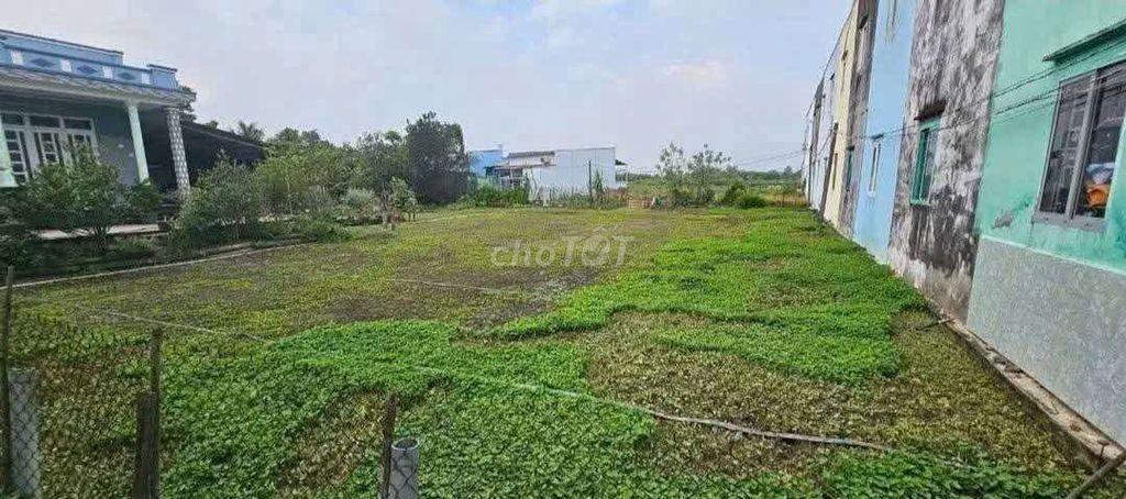 đất tại xã cần giuộc LA tây ninh mới.ql50 giáp q8 đường tập đoàn 4 