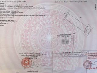975k/công; Mua rẻ bán nhanh 1606 m2 đất trồng cây An Tây Bến Cát