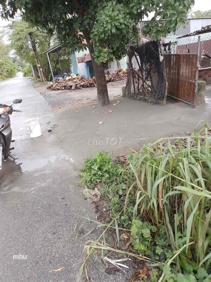 Đất mặt tiền C5/17D  Nguyễn Văn Thời.Bình chánh 540 tr