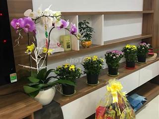 nhà 95M2 ,hẻm 16m ,4 phòng ngủ,KDC  Dương Hồng,P Bình Hưng,TP.HCM