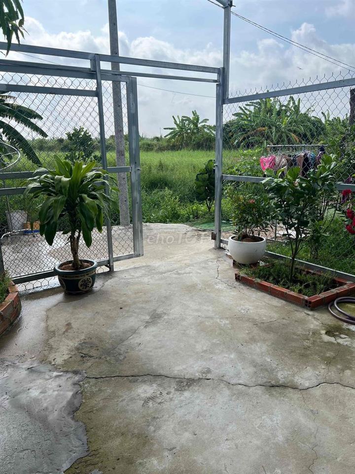 Nhà vườn cho thuê 3 tr500