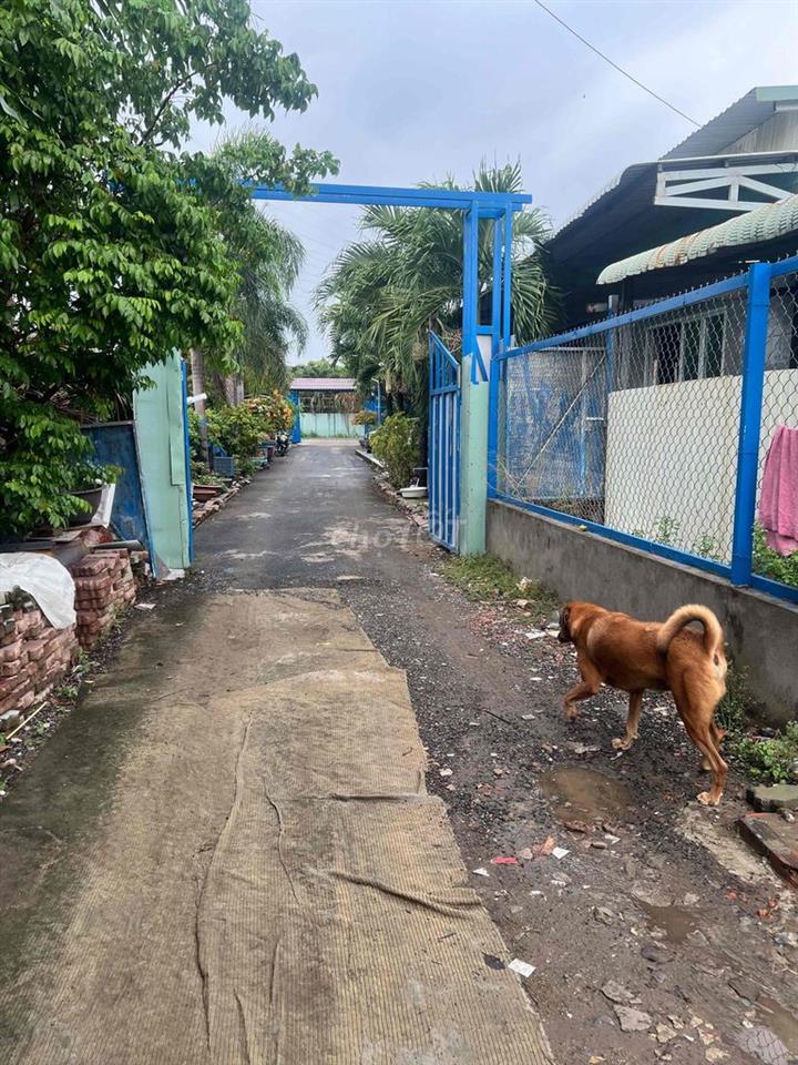 Đất Nhà vườn 3000m giá 15 tỷ