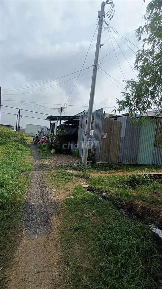 Cho Thuê nhà Vườn 260m . có nhà 60m .. Ấp 55 xã Vĩnh Lộc B bình c