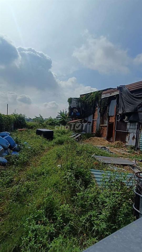 Cho Thuê nhà Vườn 260m . có nhà 60m .. Ấp 55 xã Vĩnh Lộc B bình c