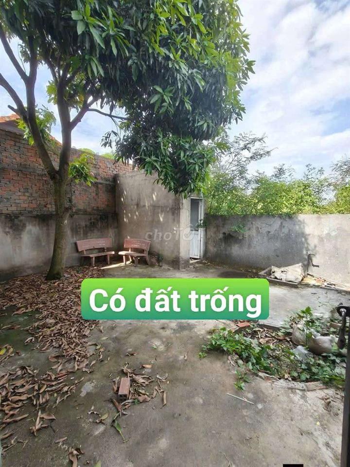 KHO + Đất Trống 5*35 ( 175 m) Đường Nguyễn Thị Trọn Vĩnh Lộc A Bìnhc