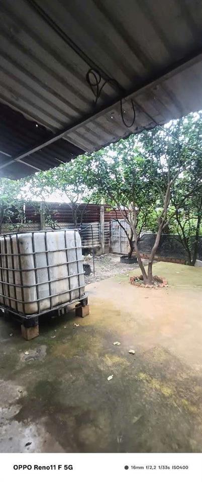 Cho Thuê Nhà Vườn 300m có nhà tôn 48m Đường Kênh trung ương Vĩnh Lộc B