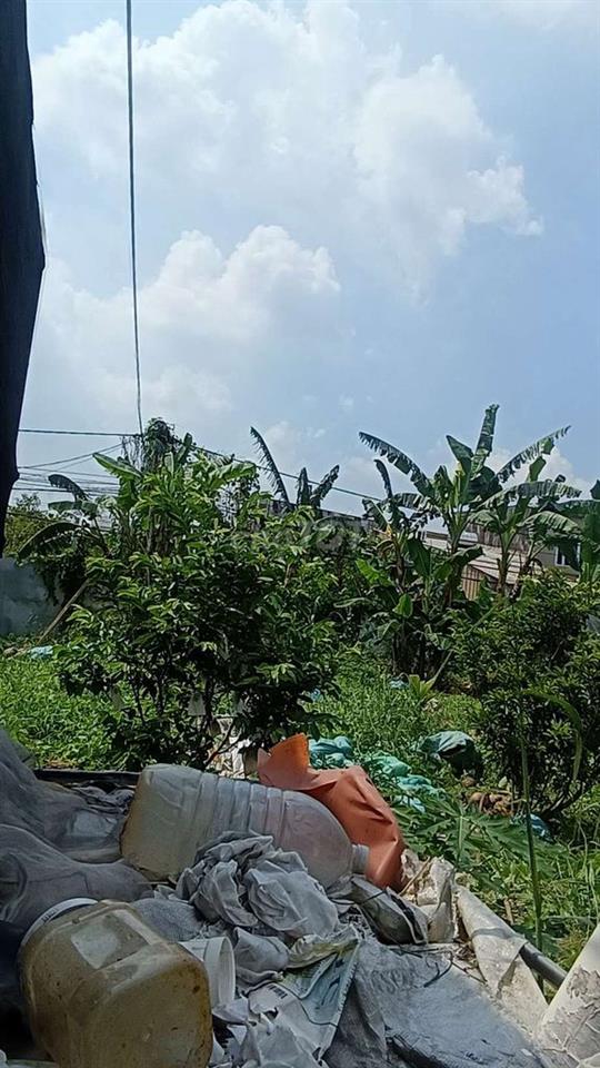 Nhà Vườn  400m Nhà + Điện 3 pha  Đường Kênh trung ương  Vĩnh Lộc BV