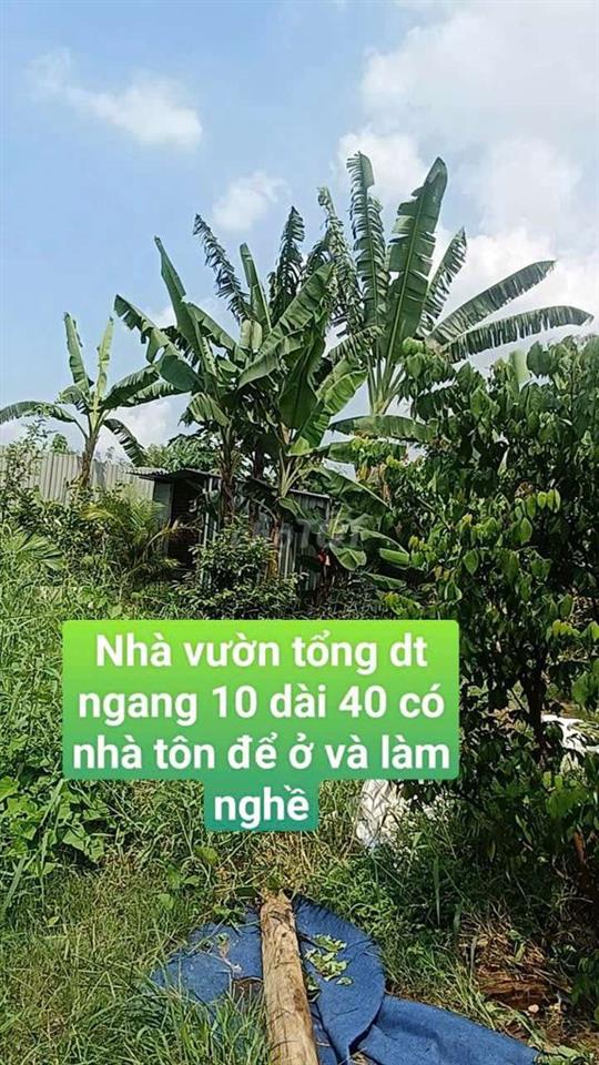 Nhà Vườn  400m Nhà + Điện 3 pha  Đường Kênh trung ương  Vĩnh Lộc BV