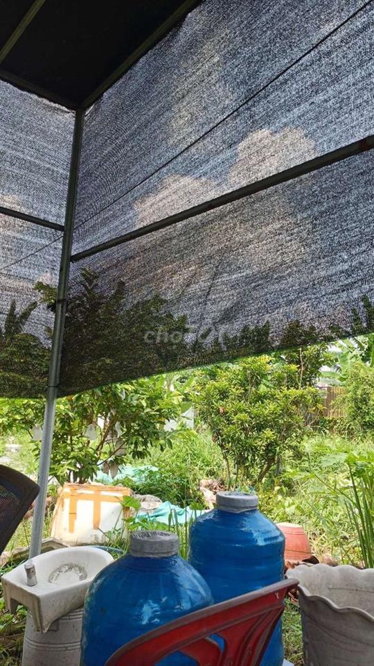 Nhà vườn trái  cây 8*25 có nhà Tôn  Đường Kênh Trung ương Vĩnh Lộc B