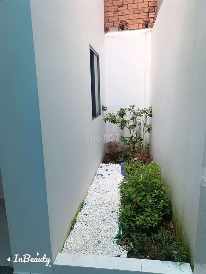 cho thuê nhà mới 100%