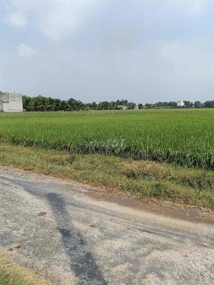 Cần Bán Đất