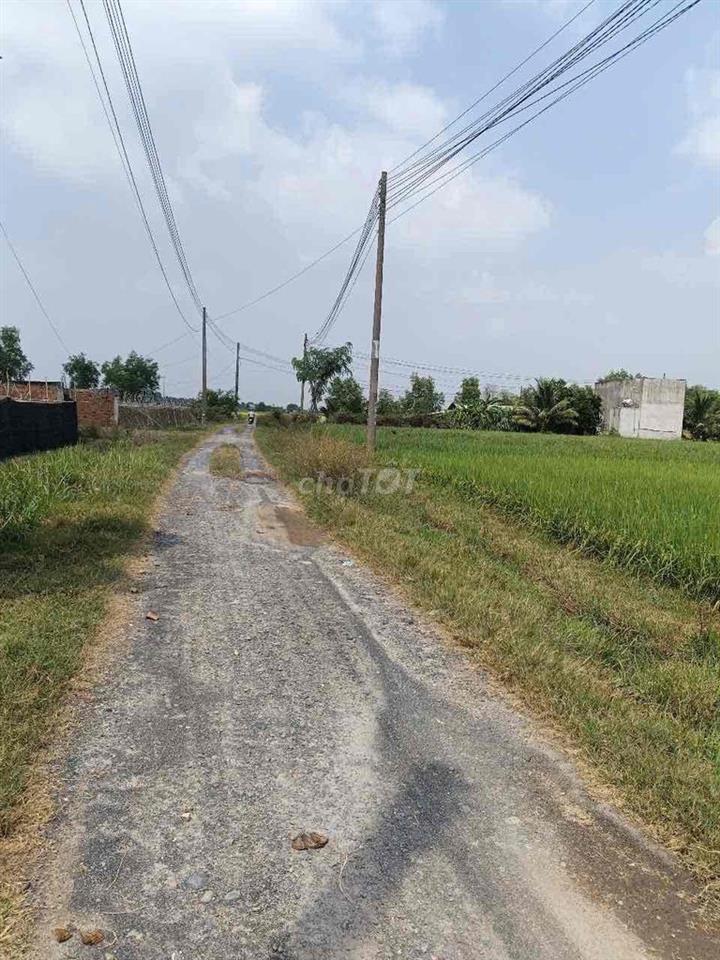 Cần Bán Đất