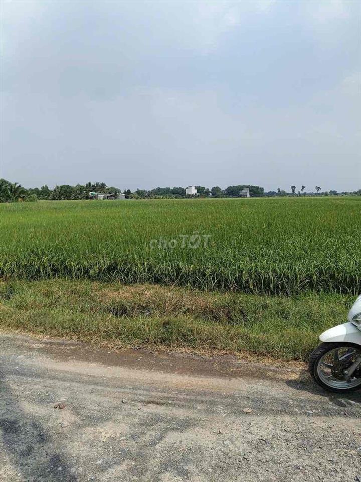 Cần Bán Đất