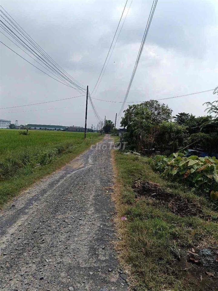 Cần Bán Đất