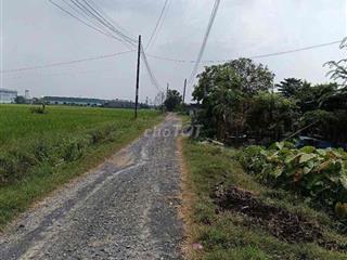 Cần Bán Đất