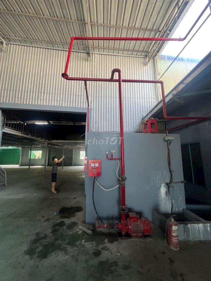 CHO THUÊ KHO XƯỞNG ĐƯỜNG THANH NIÊN – PHẠM VĂN HAI, BÌNH CHÁNH