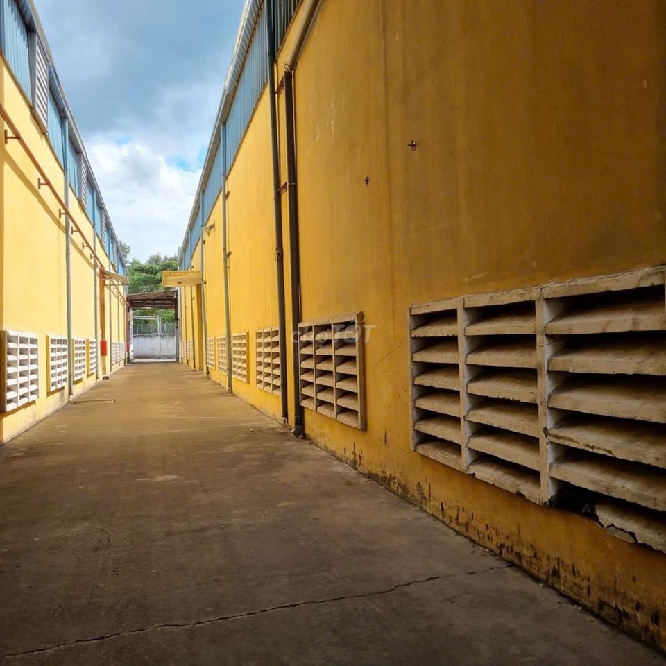 Cho thuê kho xưởng Bình Chánh 1.500m2 có khuôn viên 3.000m2 