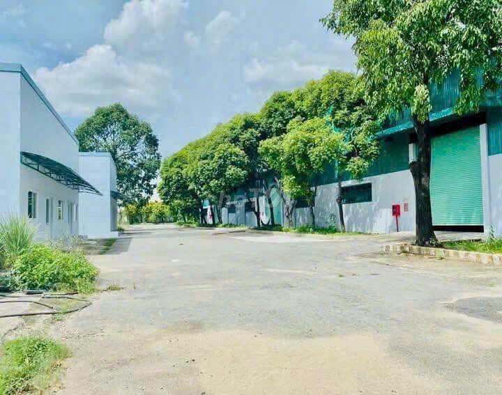 Cho thuê kho xưởng Kiến Thành Cần Đước Long An – 3.200m², giá 60k/m2