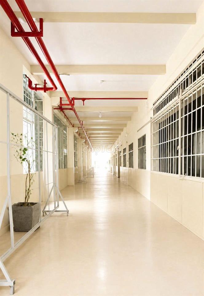 Cho thuê kho xưởng Bình Tân 3.500m², PCCC tự động, 220KVA, 330tr/th
